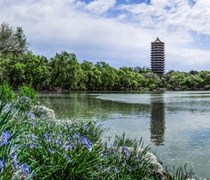 Cơ hội Học bổng học Thạc sĩ và Tiến sĩ tại Trường Khoa học và Kỹ thuật Vật liệu, Đại học Bắc Kinh, Trung Quốc