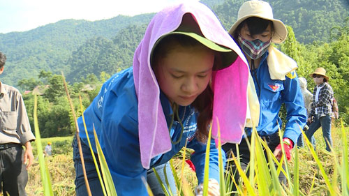 10 ngày đưa nước về với bản nghèo của nhóm sinh viên tình nguyện Trường Đại học Khoa học Tự nhiên, ĐHQGHN