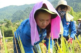 10 ngày đưa nước về với bản nghèo của nhóm sinh viên tình nguyện Trường Đại học Khoa học Tự nhiên, ĐHQGHN