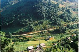Ảnh dự thi của bạn Nguyễn Thị Thuỳ Trang, K63 Sinh học