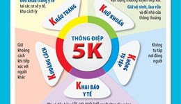 Thông báo KHẨN về việc hoãn thi và triển khai học trực tuyến