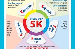 Thông báo KHẨN về việc hoãn thi và triển khai học trực tuyến