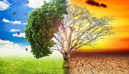 Biến đổi khí hậu đe dọa sự an toàn của hàng tỉ người trên trái đất