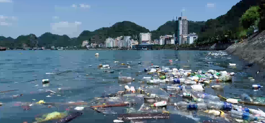 Ô NHIỄM NHỰA - NHỮNG TÁC ĐỘNG TIỀM ẨN 