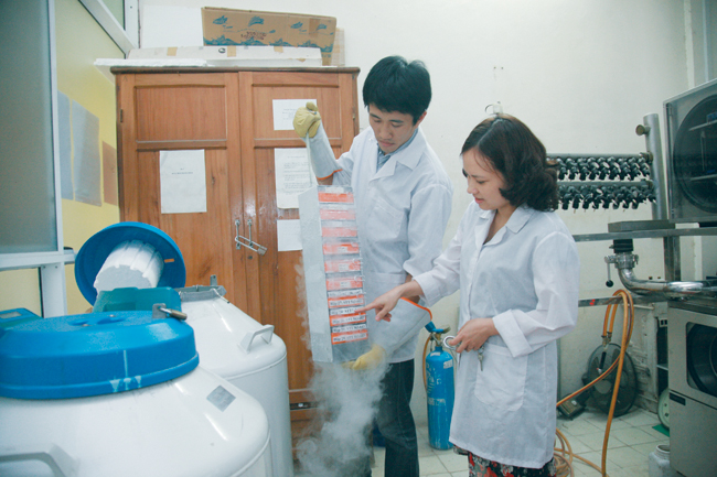 Bốn giải pháp thúc đẩy nghiên cứu khoa học